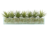 T&C Floral Company Home Decor Design Your Own Agave Arrangement