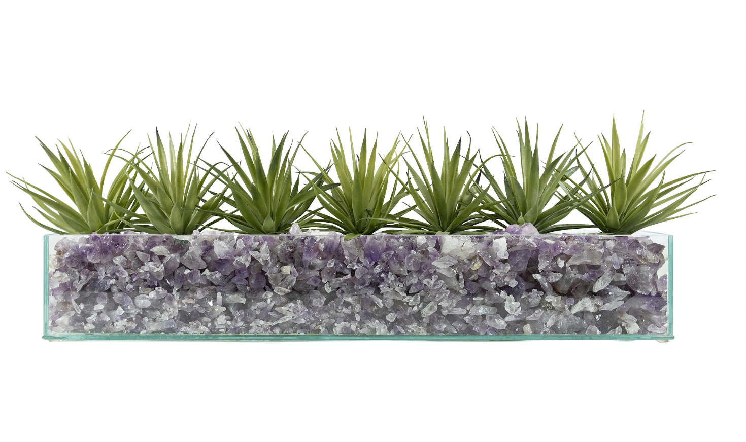 T&C Floral Company Home Decor Design Your Own Agave Arrangement