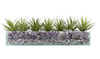 T&C Floral Company Home Decor Design Your Own Agave Arrangement