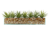 T&C Floral Company Home Decor Design Your Own Agave Arrangement