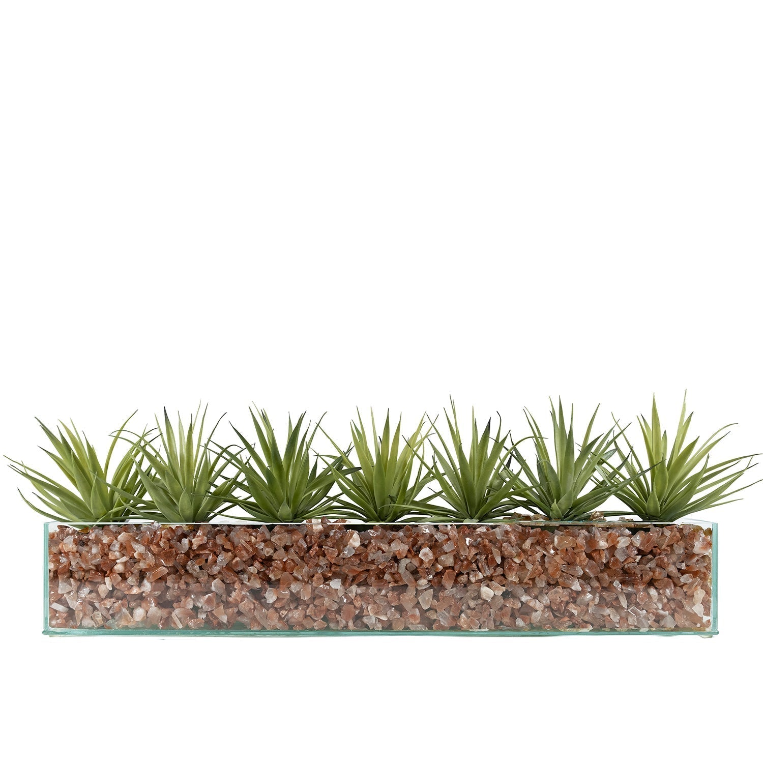 T&C Floral Company Home Decor Dark Green Amethyst Design Your Own Agave Arrangement