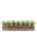 T&C Floral Company Home Decor Dark Green Amethyst Design Your Own Agave Arrangement