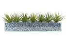 T&C Floral Company Home Decor Design Your Own Agave Arrangement