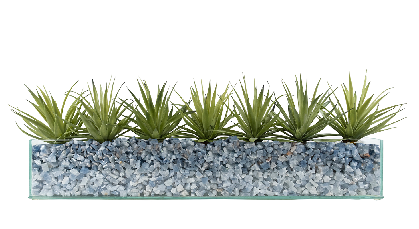 T&C Floral Company Home Decor Design Your Own Agave Arrangement