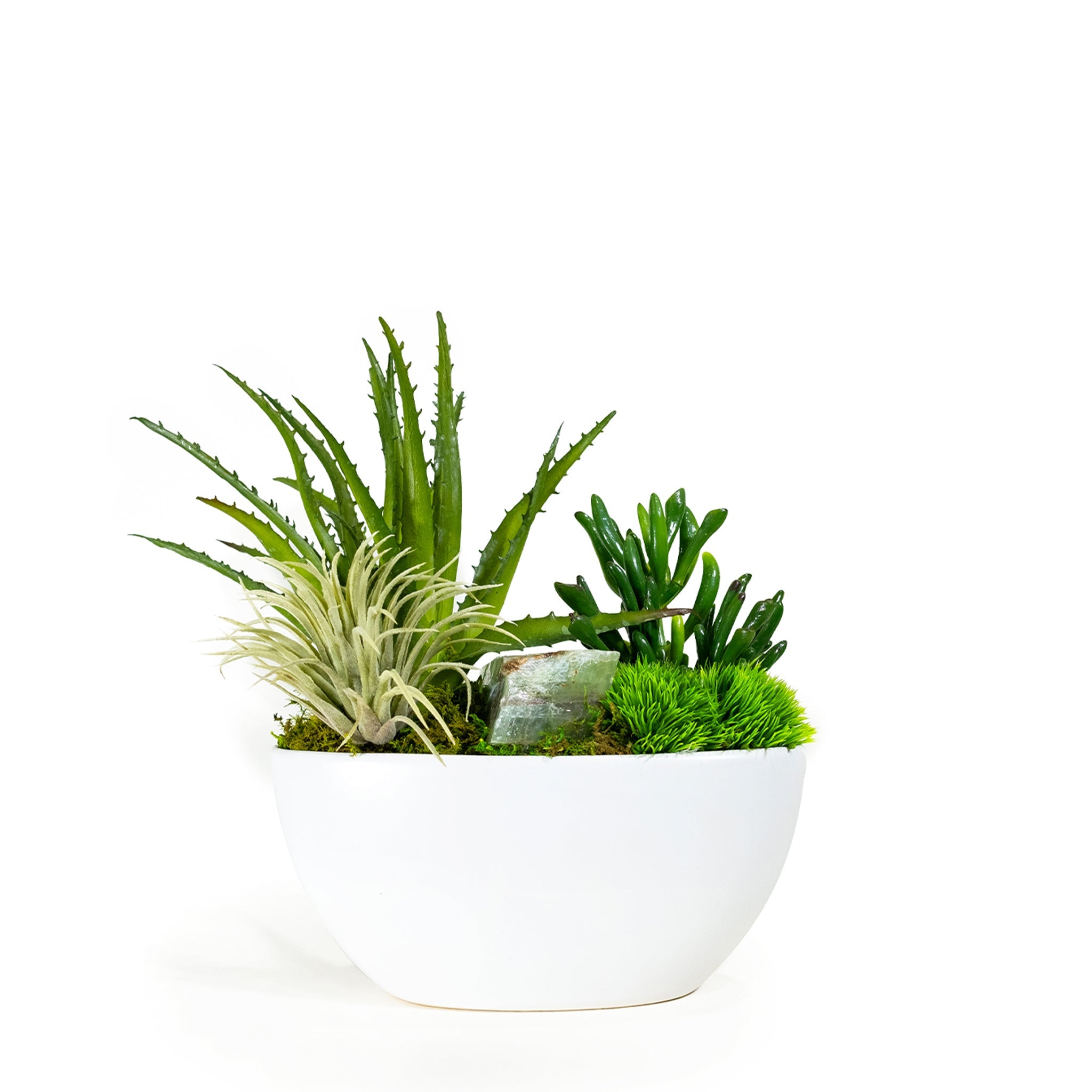 T&C Floral Company Home Decor Desktop Succulent Garden with Stone