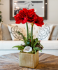 T&C Floral Company Home Decor Red Double Amaryllis in Gold Square