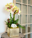 T&C Floral Company Home Decor Green Double Amaryllis in Gold Square