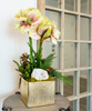 T&C Floral Company Home Decor Green Double Amaryllis in Gold Square