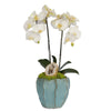 T&C Floral Company Home Decor White Double Orchid in Blue Finned Pot