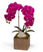 T&C Floral Company Home Decor Fuschia Double Orchid in Bronze Square