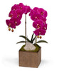 T&C Floral Company Home Decor Fuschia Double Orchid in Bronze Square
