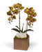 T&C Floral Company Home Decor Green Double Orchid in Bronze Square