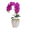 T&C Floral Company Home Decor Double Orchid in Cream Finned Pot
