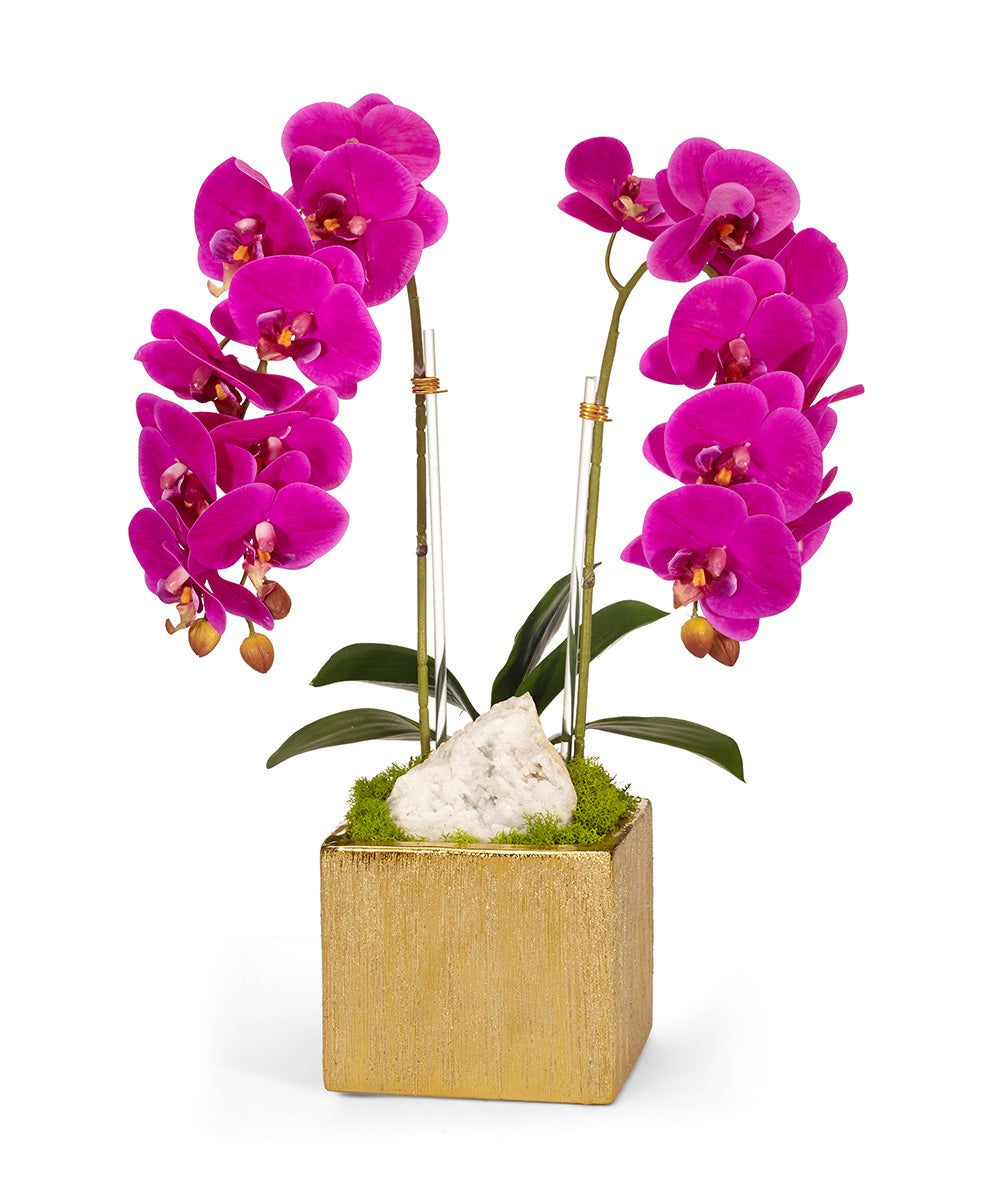 T&C Floral Company Home Decor Fuchsia Double Orchid in Gold Square