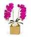 T&C Floral Company Home Decor Fuchsia Double Orchid in Gold Square