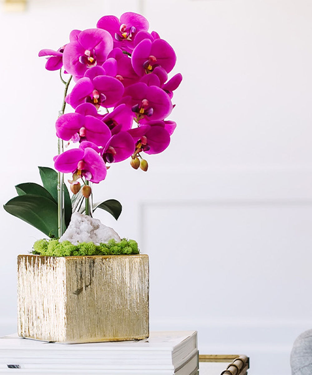 T&C Floral Company Home Decor Double Orchid in Gold Square