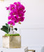 T&C Floral Company Home Decor Double Orchid in Gold Square