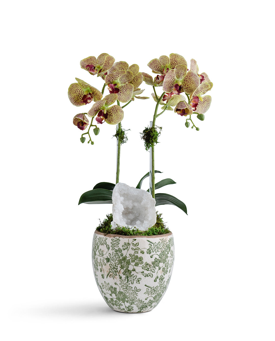 T&C Floral Company Home Decor Double  Orchid in Green & White Floral Ceramic Vase Green