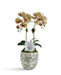 T&C Floral Company Home Decor Double  Orchid in Green & White Floral Ceramic Vase Green