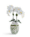 T&C Floral Company Home Decor Double  Orchid in Green & White Floral Ceramic Vase White