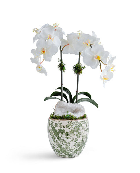 T&C Floral Company Home Decor Double  Orchid in Green & White Floral Ceramic Vase White