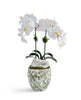 T&C Floral Company Home Decor Double  Orchid in Green & White Floral Ceramic Vase White