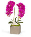 T&C Floral Company Home Decor Fuschia Double Orchid in Silver Square