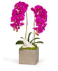 T&C Floral Company Home Decor Fuschia Double Orchid in Silver Square
