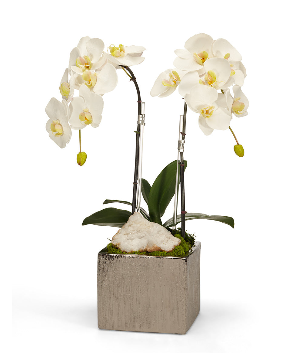 T&C Floral Company Home Decor White Double Orchid in Silver Square