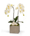 T&C Floral Company Home Decor White Double Orchid in Silver Square