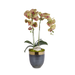 T&C Floral Company Home Decor Green Double Orchids in Bronze Container with Gold Rim