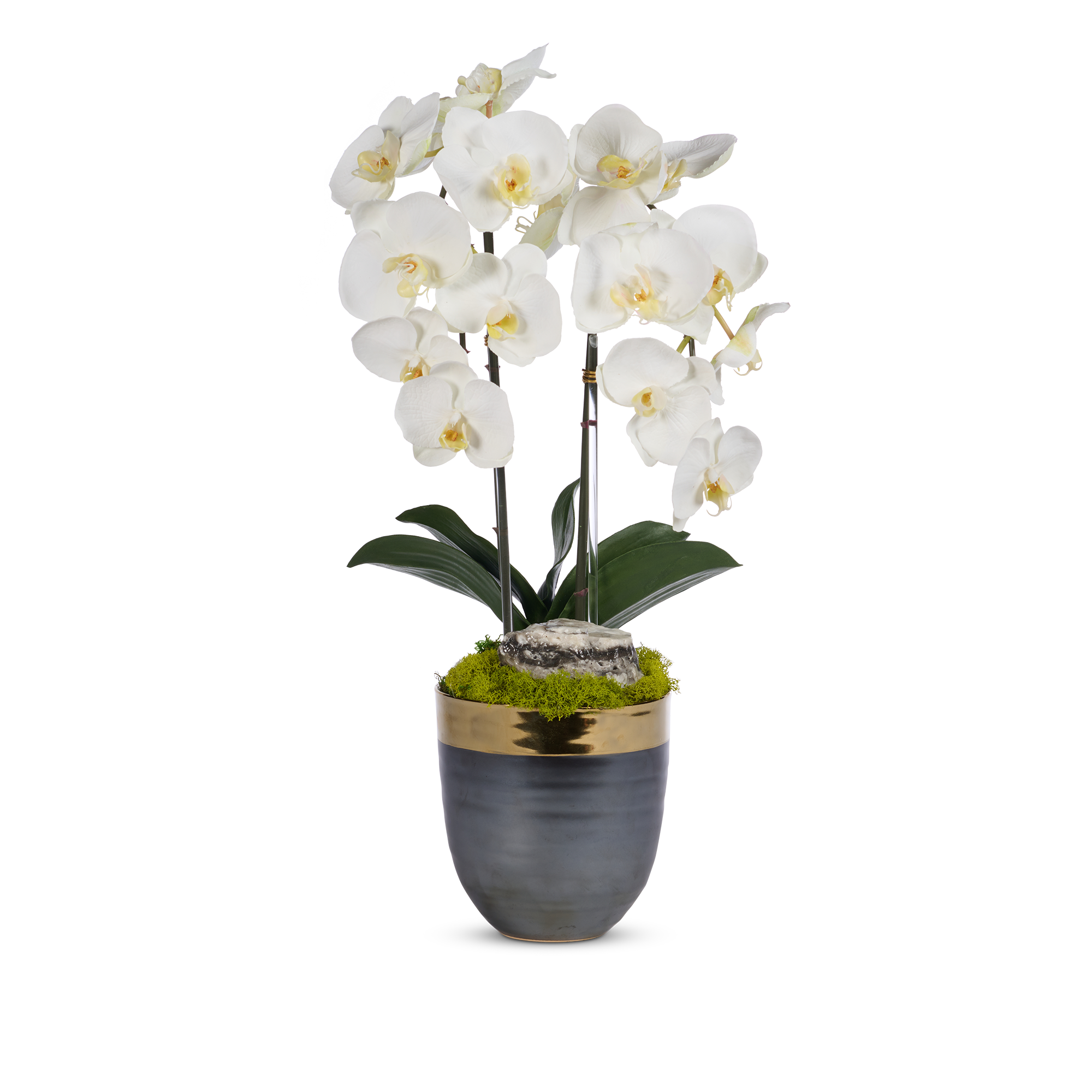 T&C Floral Company Home Decor White Double Orchids in Bronze Container with Gold Rim