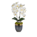 T&C Floral Company Home Decor White Double Orchids in Bronze Container with Gold Rim