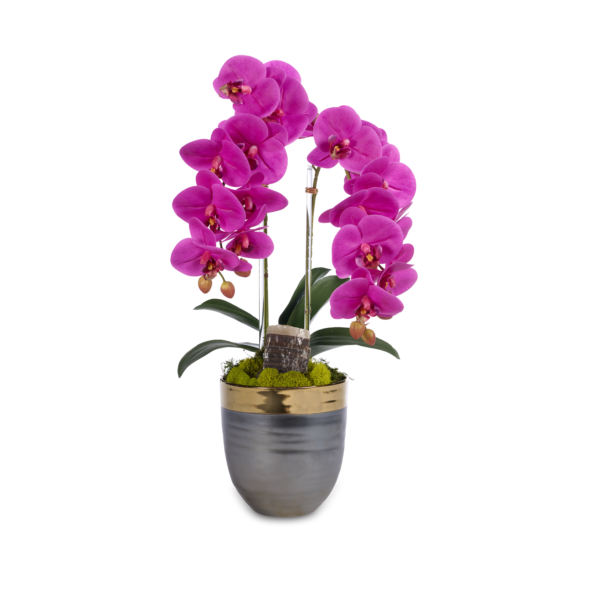 T&C Floral Company Home Decor Fuchsia Double Orchids in Bronze Container with Gold Rim