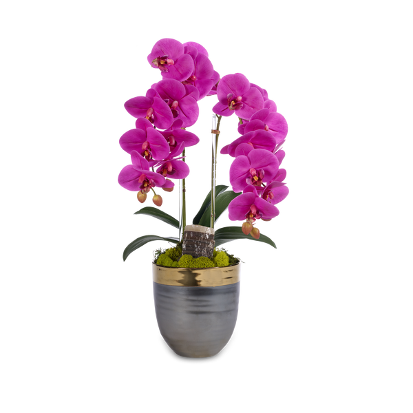 T&C Floral Company Home Decor Fuchsia Double Orchids in Bronze Container with Gold Rim