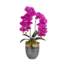 T&C Floral Company Home Decor Fuchsia Double Orchids in Bronze Container with Gold Rim