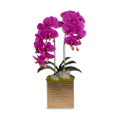 T&C Floral Company Home Decor Fuchsia Double Orchids in Gold Hammered Metal Square Container with Quartz