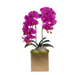 T&C Floral Company Home Decor Fuchsia Double Orchids in Gold Hammered Metal Square Container with Quartz
