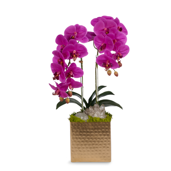 T&C Floral Company Home Decor Fuchsia Double Orchids in Gold Hammered Metal Square Container with Quartz