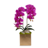 T&C Floral Company Home Decor Fuchsia Double Orchids in Gold Hammered Metal Square Container with Quartz