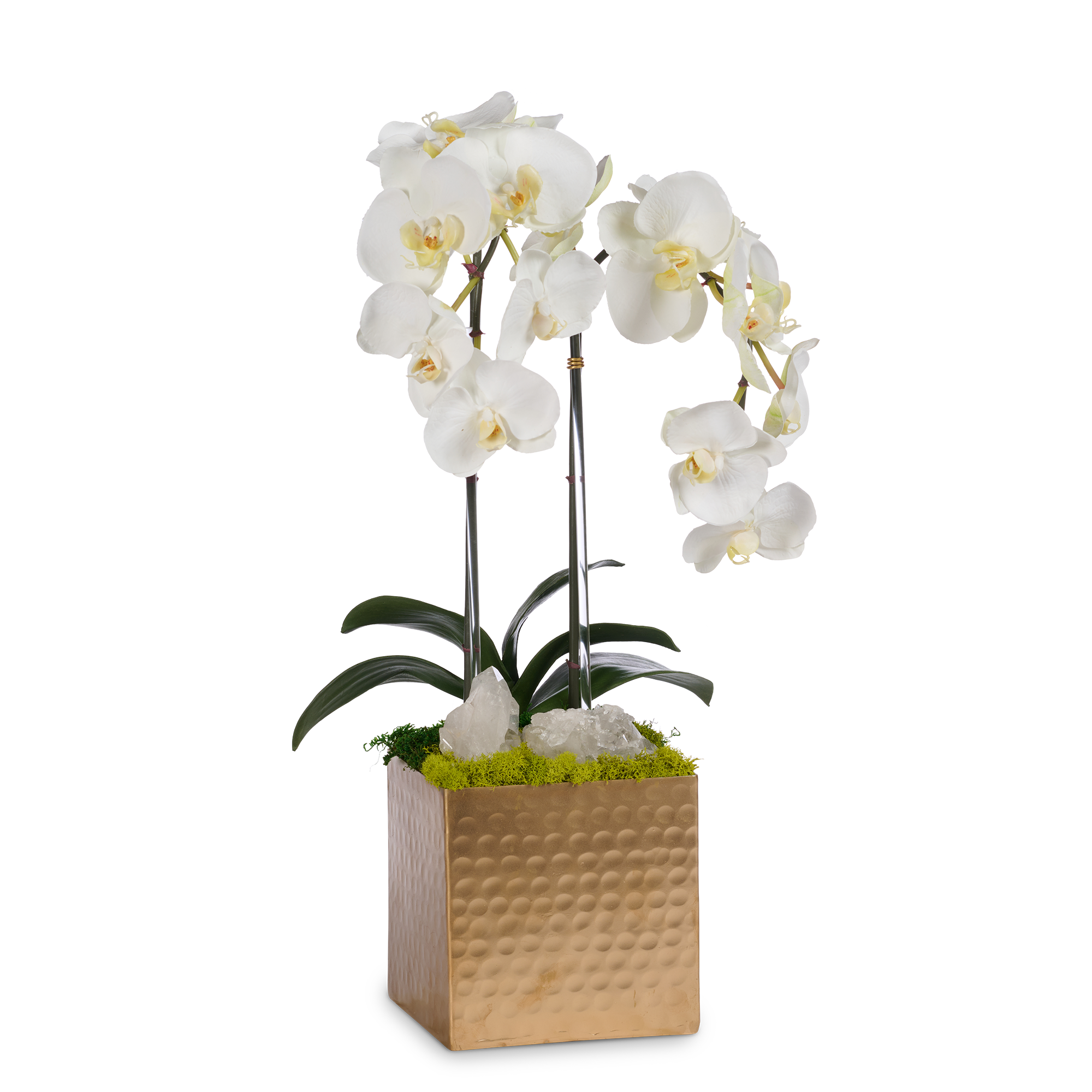 T&C Floral Company Home Decor White Double Orchids in Gold Hammered Metal Square Container with Quartz