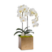 T&C Floral Company Home Decor White Double Orchids in Gold Hammered Metal Square Container with Quartz