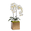 T&C Floral Company Home Decor White Double Orchids in Gold Hammered Metal Square Container with Quartz