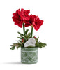 T&C Floral Company Home Decor Double Red Amaryllis in Green Oriental Container Red