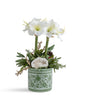 T&C Floral Company Home Decor Double Red Amaryllis in Green Oriental Container White