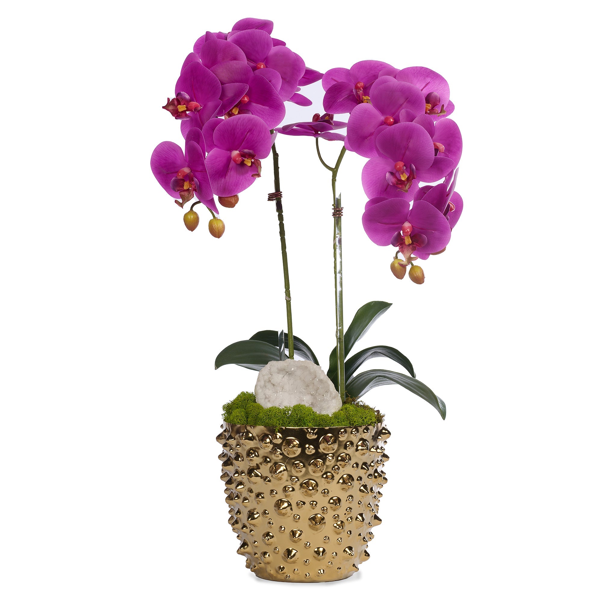 T&C Floral Company Home Decor Fuchsia Double White Orchid in Gold Spike Pot
