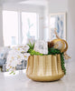 T&C Floral Company Home Decor Draped Orchids in Embellished Container