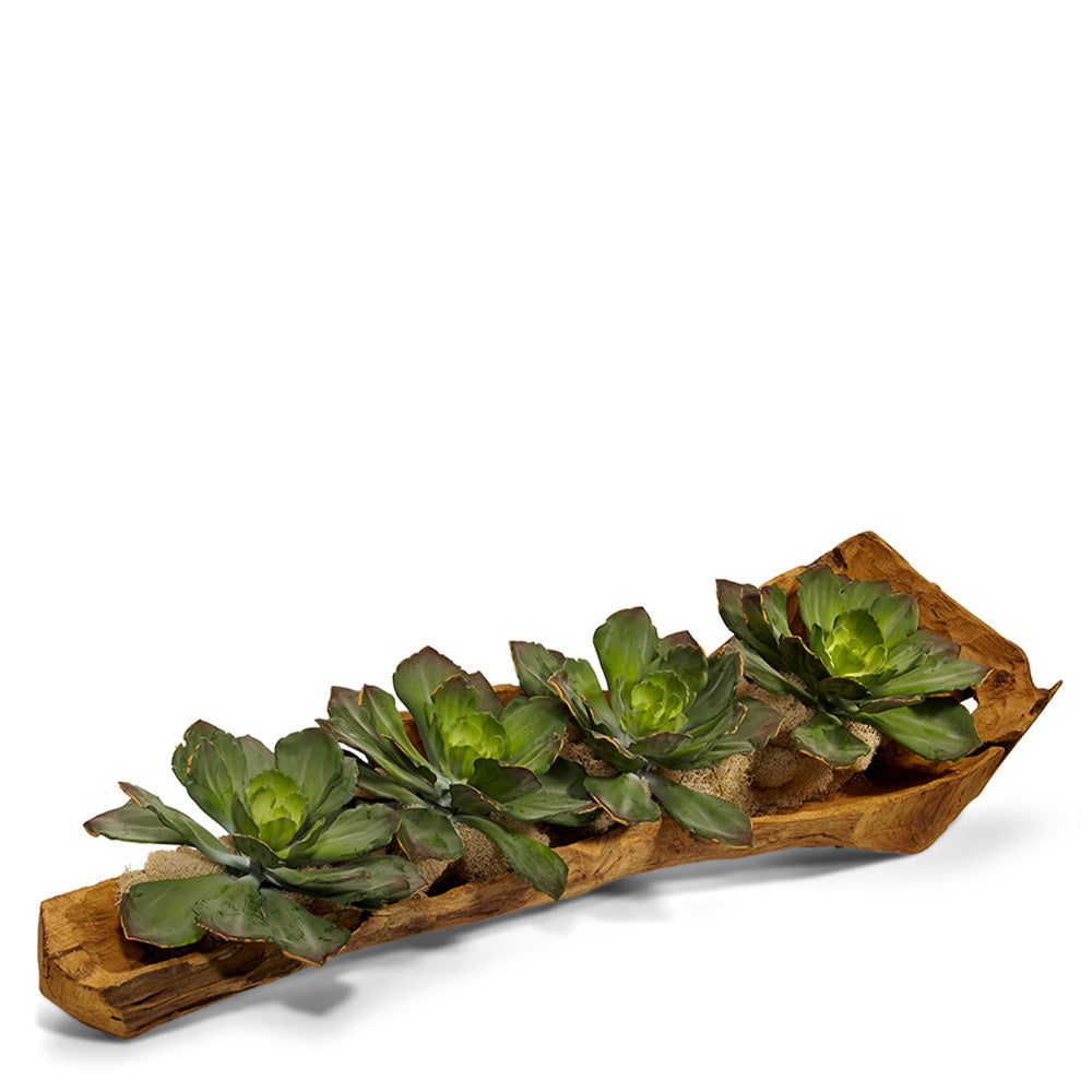T&C Floral Company Home Decor Echeveria Succulents in Wooden Log
