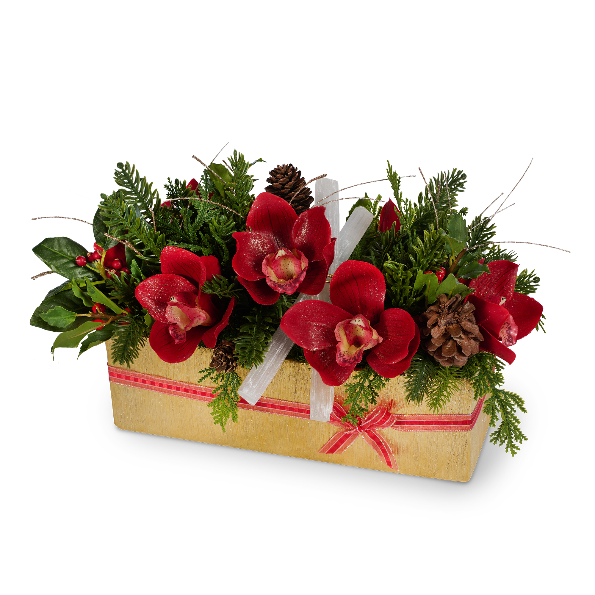 T&C Floral Company Home Decor Red Holiday Orchids in Gold Rectangle Container