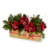 T&C Floral Company Home Decor Red Holiday Orchids in Gold Rectangle Container